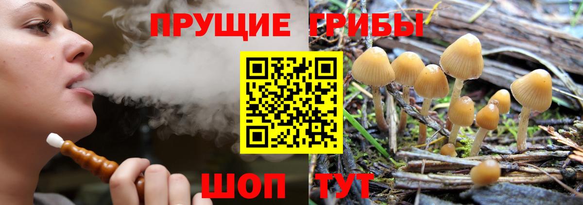 Галлюциногенные грибы ЛСД Сальск