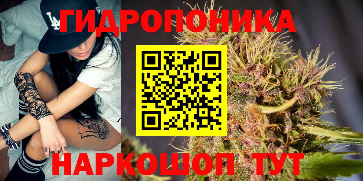 Бошки марихуана VHQ Сальск
